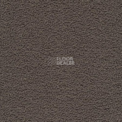 Ковролин Desso Marathon 9002 фото 1 | FLOORDEALER