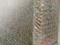 Innova Туссор N4239 фото 3 | FLOORDEALER