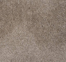 Ковролин Condor Julia 72 фото 1 | FLOORDEALER