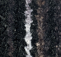 Forbo Coral Welcome 3210 Black Magic фото 2 | FLOORDEALER