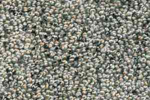 Ковролин AW Dakota 90 фото  | FLOORDEALER