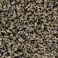 Ковролин Edel Vivaldi 112 фото 1 | FLOORDEALER