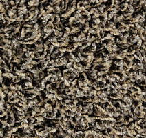 Ковролин Edel Vivaldi 112 фото 1 | FLOORDEALER