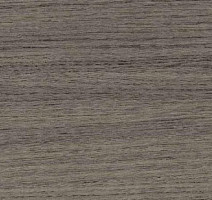 Линолеум Taraflex Multi-Use 6.2 Wood 8840_Wood_Black фото 1 | FLOORDEALER