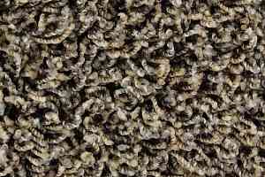 Ковролин Edel Vivaldi 112 фото  | FLOORDEALER