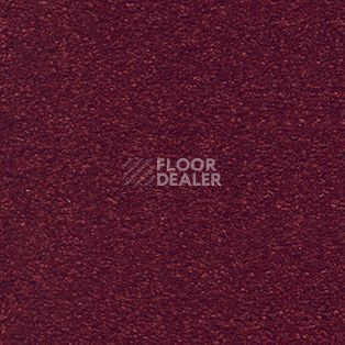 Ковролин AW Suspense 10 фото 1 | FLOORDEALER