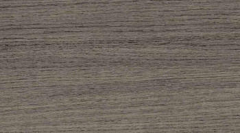 Линолеум Taraflex Multi-Use 6.2 Wood 8840_Wood_Black фото 1 | FLOORDEALER