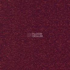 Ковролин AW Suspense 10 фото 1 | FLOORDEALER