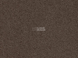 Ковролин Balta ITC Amaize Edison 48 фото 1 | FLOORDEALER