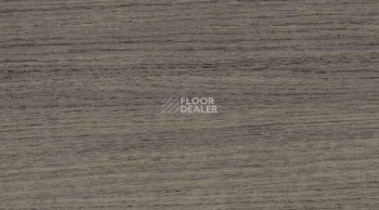 Линолеум Taraflex Multi-Use 6.2 Wood 8840_Wood_Black фото 1 | FLOORDEALER