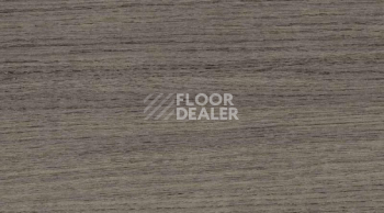 Линолеум Gerflor Taraflex Multi-Use 6.2 Wood 8840_Wood_Black фото 1 | FLOORDEALER
