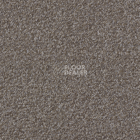 Ковролин Associated Weavers Maxima 40 фото 1 | FLOORDEALER