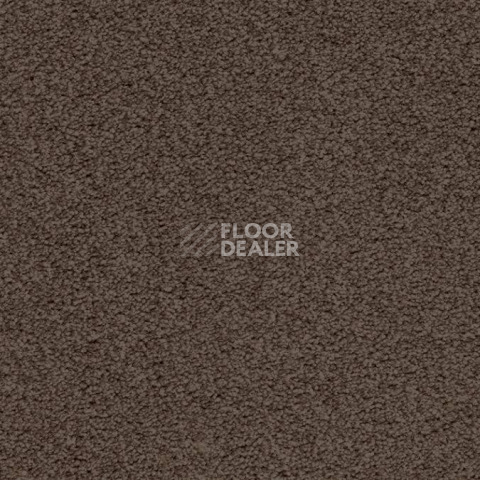 Ковролин Balta ITC Amaize Edison 48 фото 1 | FLOORDEALER