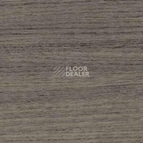 Линолеум Gerflor Taraflex Multi-Use 6.2 Wood 8840_Wood_Black фото 1 | FLOORDEALER