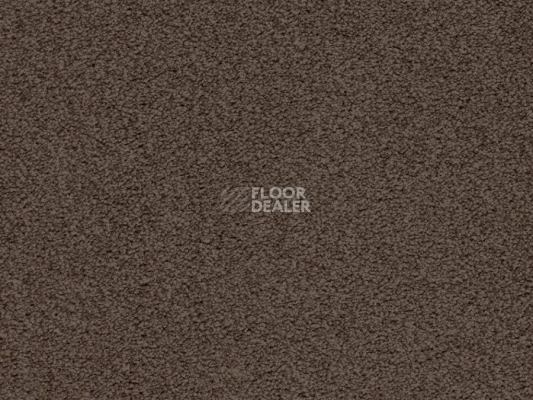 Ковролин Balta ITC Amaize Edison 48 фото 1 | FLOORDEALER