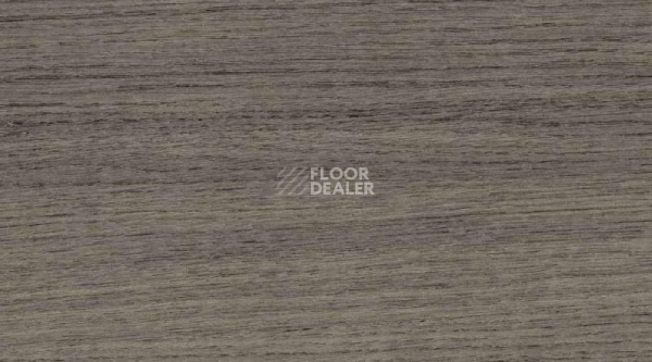 Линолеум Taraflex Multi-Use 6.2 Wood 8840_Wood_Black фото 1 | FLOORDEALER