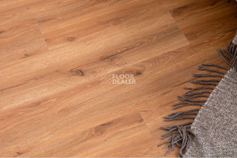 Vinilpol Glue 2мм 8833 EIR ДУБ САН-РЕМО фото 4 | FLOORDEALER