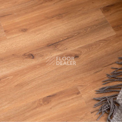 Vinilpol Glue 2мм 8833 EIR ДУБ САН-РЕМО фото 4 | FLOORDEALER