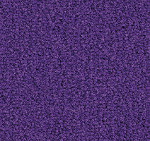 Ковролин Balsan Les Best S 886 фото 1 | FLOORDEALER