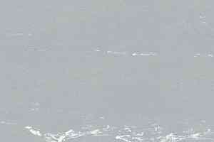 Кварцвиниловые полы Polyflex Plus PU 6130 фото  | FLOORDEALER