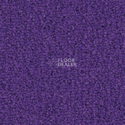 Ковролин Balsan Les Best S 886 фото 1 | FLOORDEALER