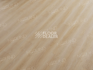 Norland Sigrid  LVT 2мм Eli 1003-6 фото 3 | FLOORDEALER