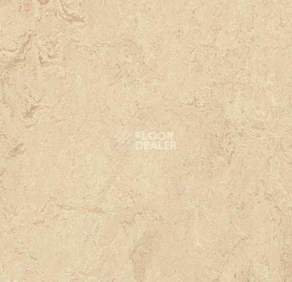 Кварцвиниловые полы Marmoleum Modular t2713 Calico фото 1 | FLOORDEALER