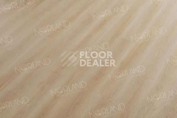 Виниловая плитка ПВХ Norland Sigrid 2мм Eli 1003-6 фото 2 | FLOORDEALER