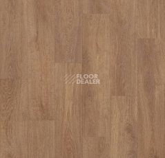 Линолеум Forbo Eternal Original 11612 mid oak фото 1 | FLOORDEALER