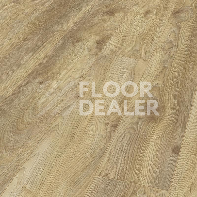 Ламинат Kronotex Mammut d4794 Дуб Натуральный Макро фото 1 | FLOORDEALER
