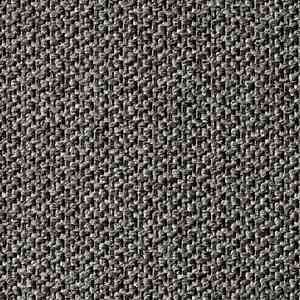 Ковролин Carpet Concept Eco Tec 280009_52744 фото ##numphoto## | FLOORDEALER