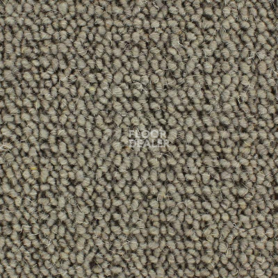 Ковролин Edel Lawrence 229 фото 1 | FLOORDEALER