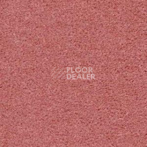 Ковролин Radici Montecarlo 5 фото 1 | FLOORDEALER