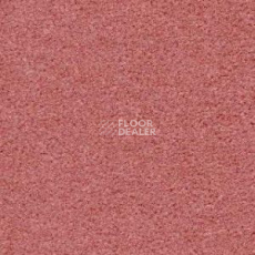 Ковролин Radici Montecarlo 5 фото 1 | FLOORDEALER