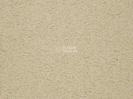 Ковролин Balta ITC Preciosa 36 фото 1 | FLOORDEALER