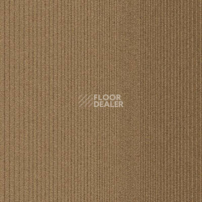 Ковровая плитка Interface Straightforward 308129 Calico фото 1 | FLOORDEALER