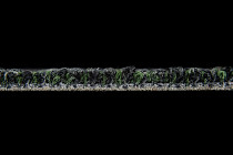 Desso AirMaster Reflection ac 58 9850 фото 6 | FLOORDEALER