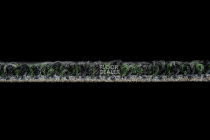 Desso AirMaster Reflection ac 58 9850 фото 6 | FLOORDEALER