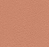 Линолеум Recreation 60 Wood 6157_Rosa фото 1 | FLOORDEALER