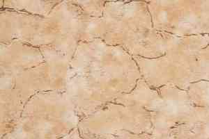 Линолеум Novoflor Extra Amos 4000-57 фото  | FLOORDEALER