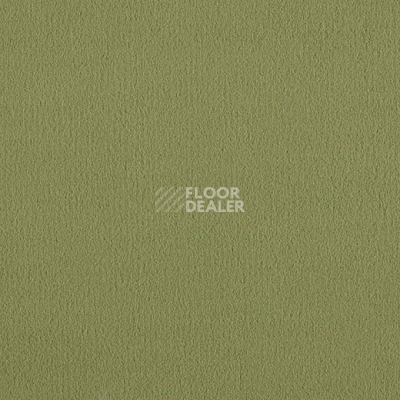 Ковролин Lano Brezina 520 фото 1 | FLOORDEALER