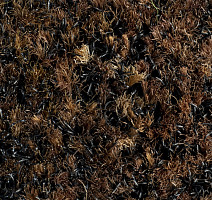 Forbo Coral Brush 5724 Chocolate Brown фото 2 | FLOORDEALER