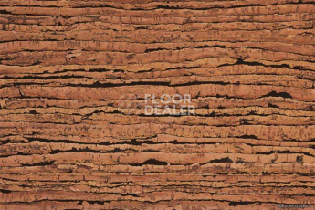 Natural Cork Tigre фото 2 | FLOORDEALER