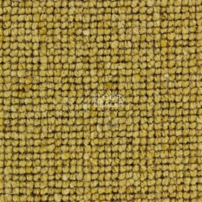 Ковролин Edel Centre Point 333 фото 1 | FLOORDEALER