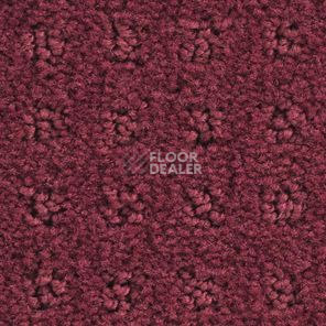 Ковролин Balsan Patio Patio 585 фото 1 | FLOORDEALER