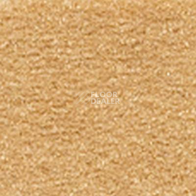 Ковролин Girloon Cronesse 865 фото 1 | FLOORDEALER