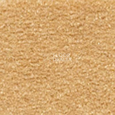 Ковролин Girloon Cronesse 865 фото 1 | FLOORDEALER