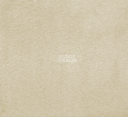 Ковролин AW Silk 33 фото 1 | FLOORDEALER