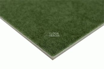 Stone 1635 160 фото 4 | FLOORDEALER