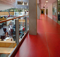 Marmoleum Modular t3131 scarlet фото 3 | FLOORDEALER